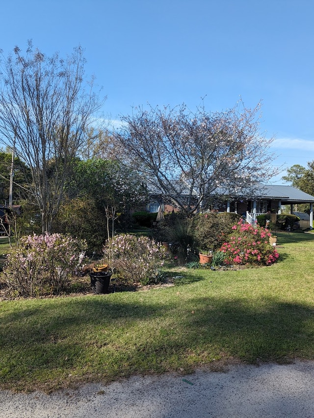 view of front of home with a front lawn