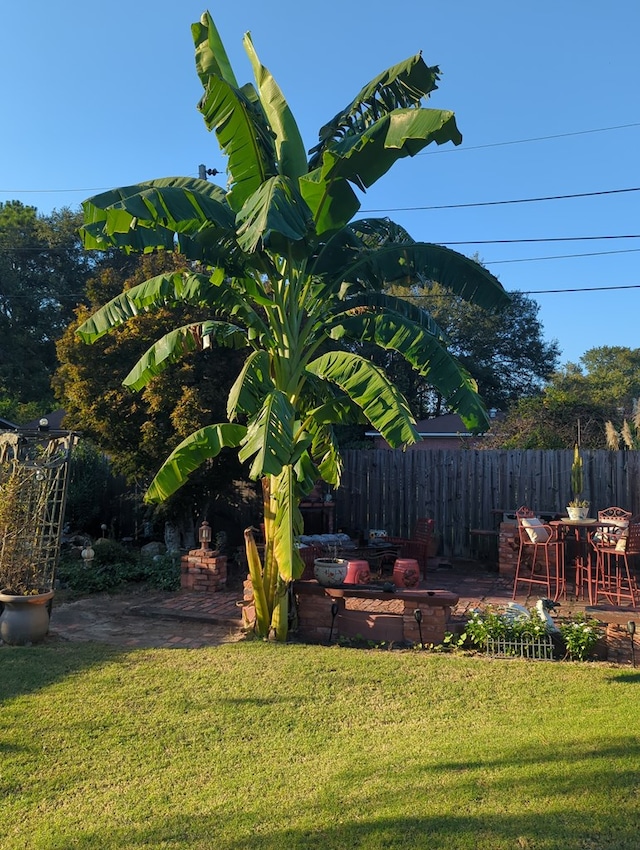 view of yard with a patio area