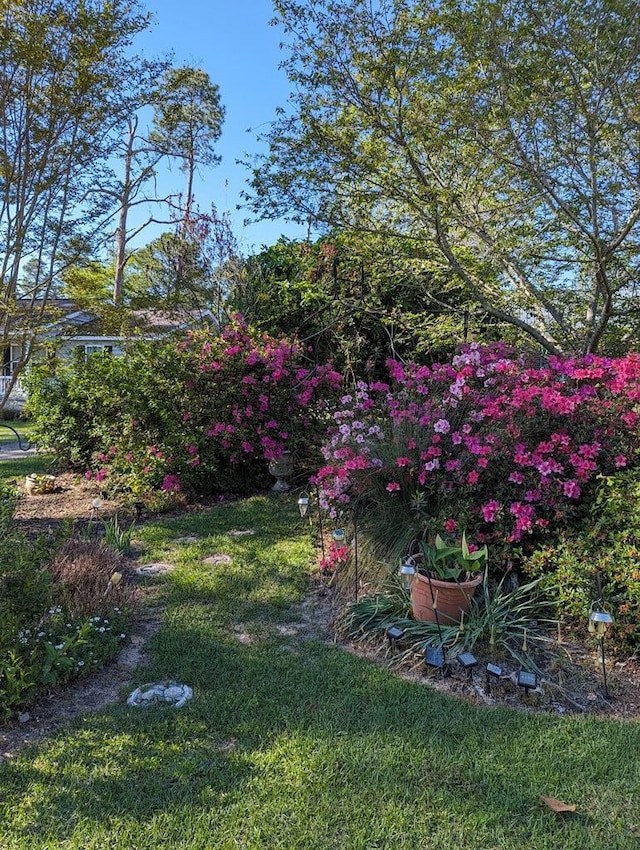 615 E 28th Ave, Cordele, GA 31015 - view of grassy yard