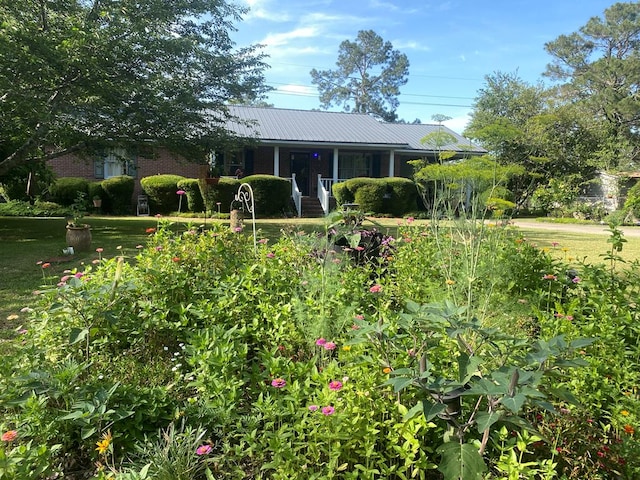 615 E 28th Ave, Cordele, GA 31015 - view of front of house featuring metal roof, a porch, and a front lawn
