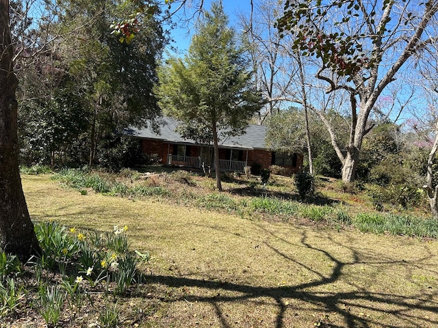 view of yard featuring covered porch