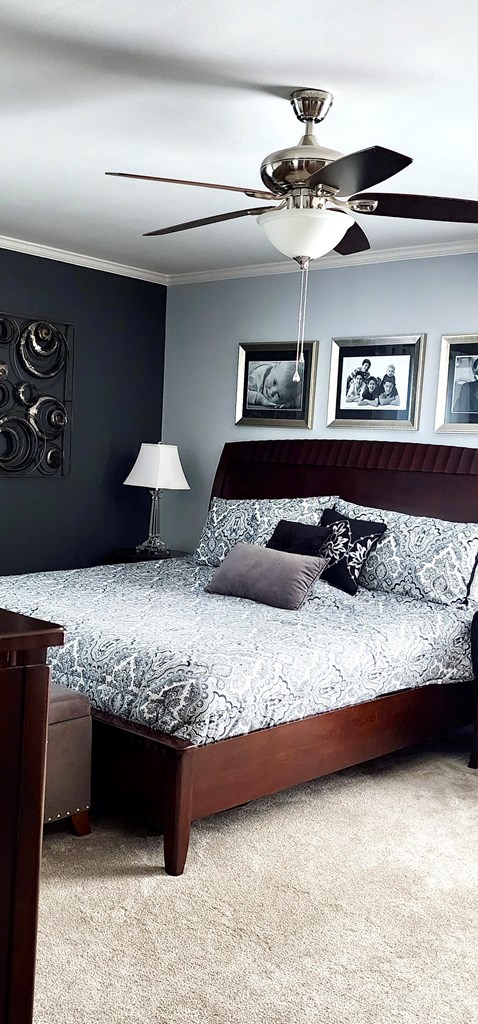 carpeted bedroom with a ceiling fan and crown molding