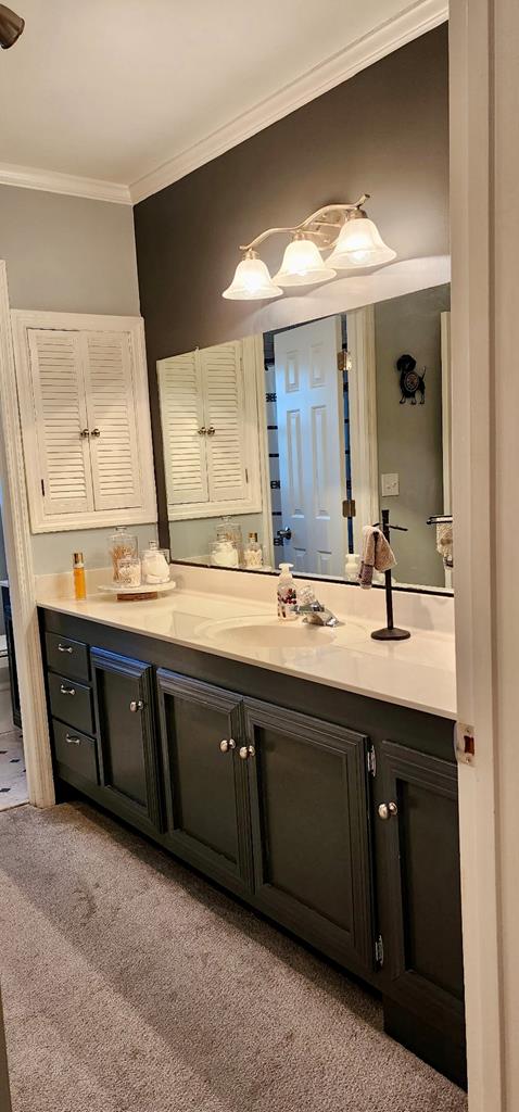 bathroom with carpet flooring, vanity, and ornamental molding