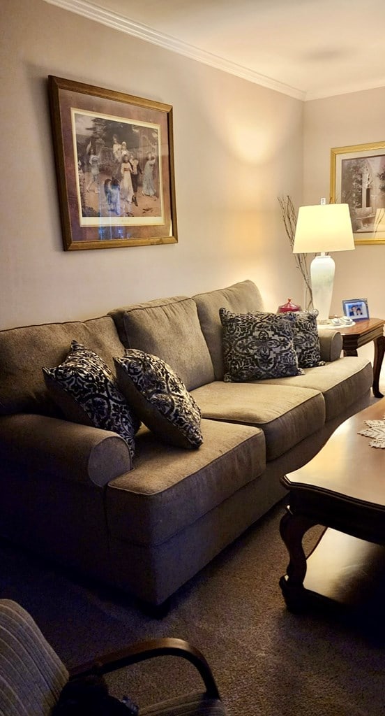 carpeted living area featuring ornamental molding