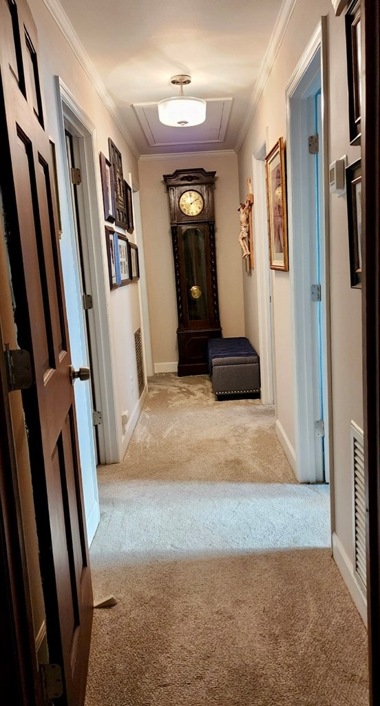 hall featuring ornamental molding, attic access, carpet, and visible vents
