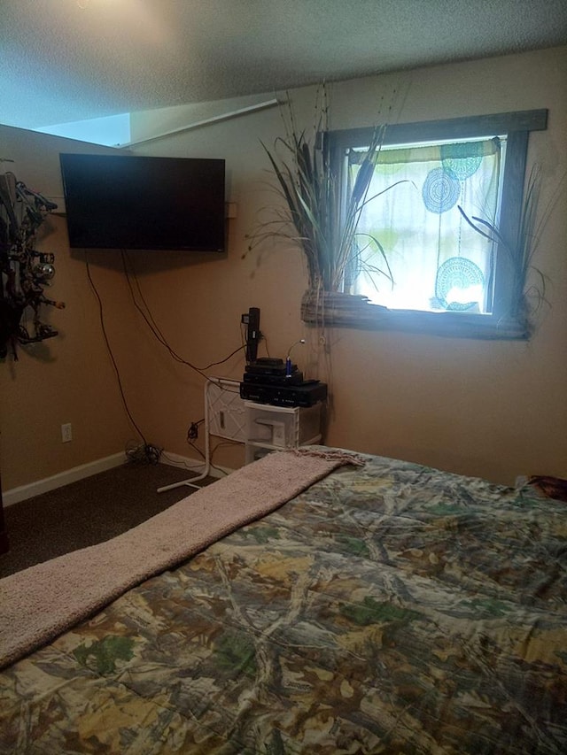 480 Spring Creek Rd, Warwick, GA 31796 - bedroom featuring a textured ceiling and carpet