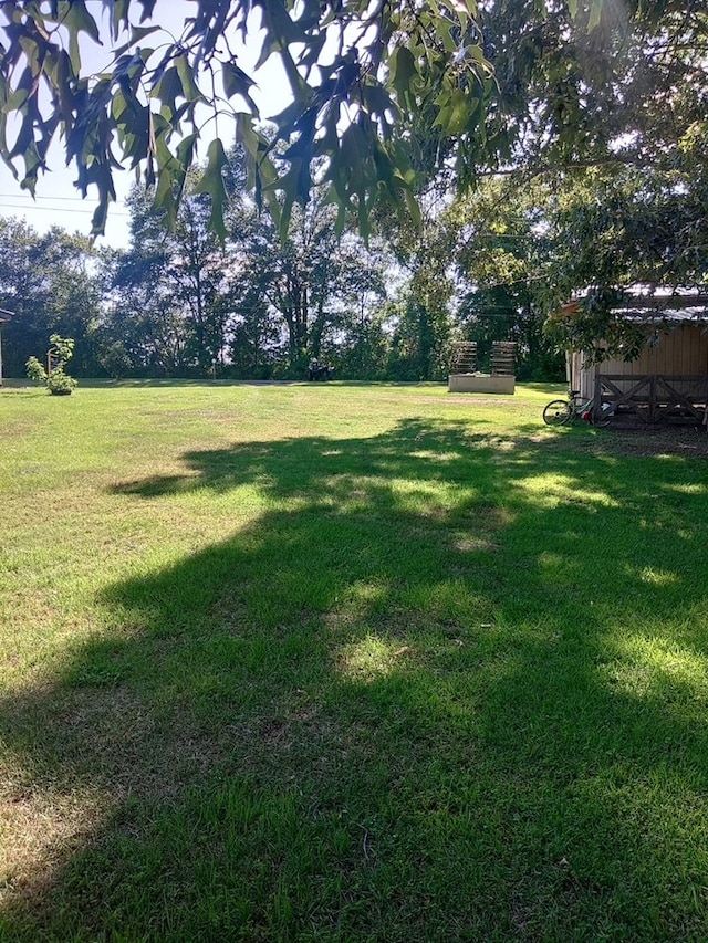 480 Spring Creek Rd, Warwick, GA 31796 - view of grassy yard featuring an outbuilding