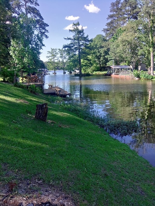 480 Spring Creek Rd, Warwick, GA 31796 - water view
