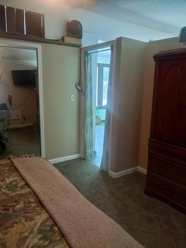 480 Spring Creek Rd, Warwick, GA 31796 - bedroom with carpet floors, baseboards, and a textured ceiling