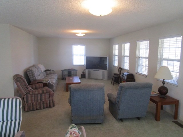 living room featuring a textured ceiling, carpet flooring, and visible vents