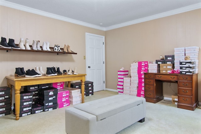 interior space featuring light colored carpet and ornamental molding