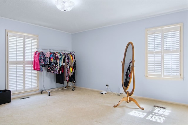 interior space with carpet and crown molding