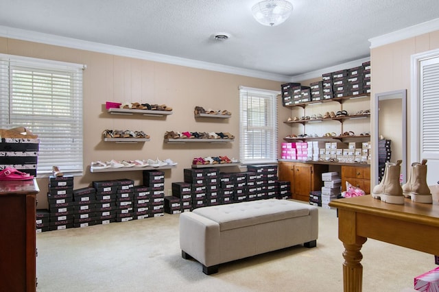 living area featuring a healthy amount of sunlight, crown molding, and carpet floors