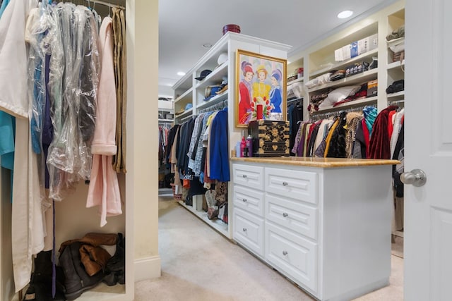 spacious closet with light colored carpet