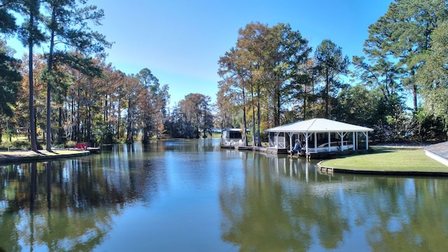 property view of water with a boat dock