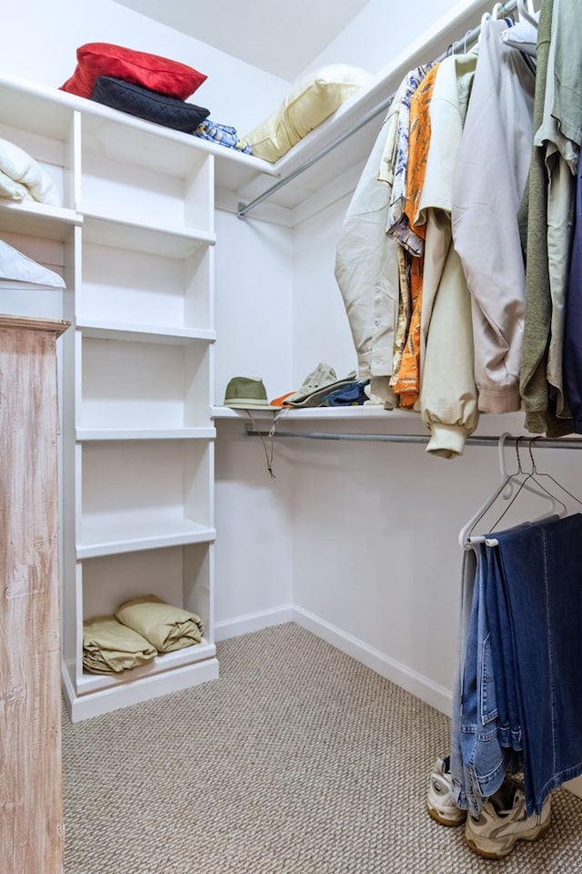 walk in closet with carpet flooring