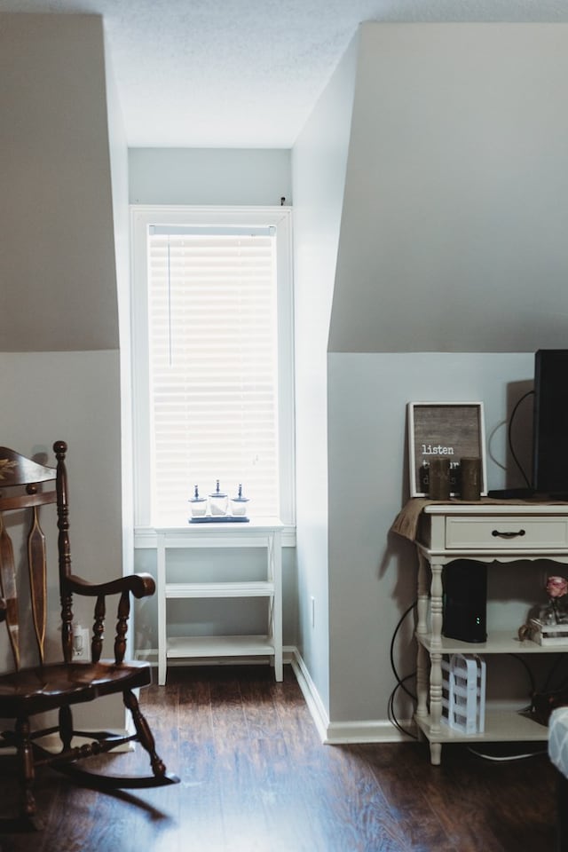 living area featuring vaulted ceiling, a healthy amount of sunlight, and dark wood-type flooring