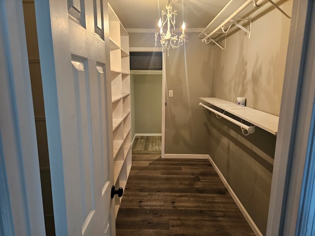 spacious closet featuring a chandelier and dark wood-style flooring