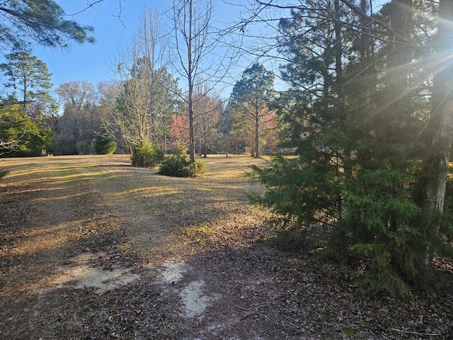 view of road