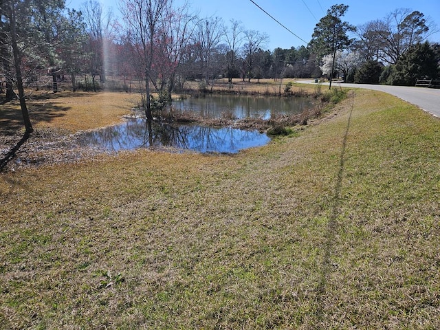 view of yard with a water view