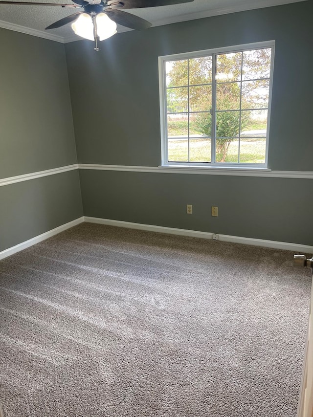 spare room featuring ceiling fan, carpet, crown molding, and a textured ceiling