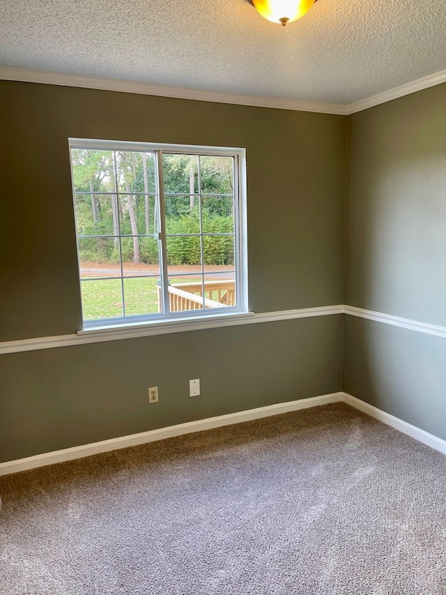 unfurnished room with carpet flooring, a textured ceiling, and ornamental molding