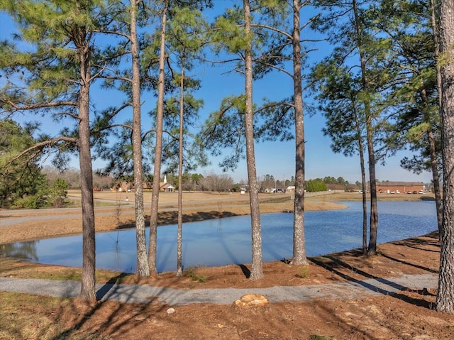 view of water feature