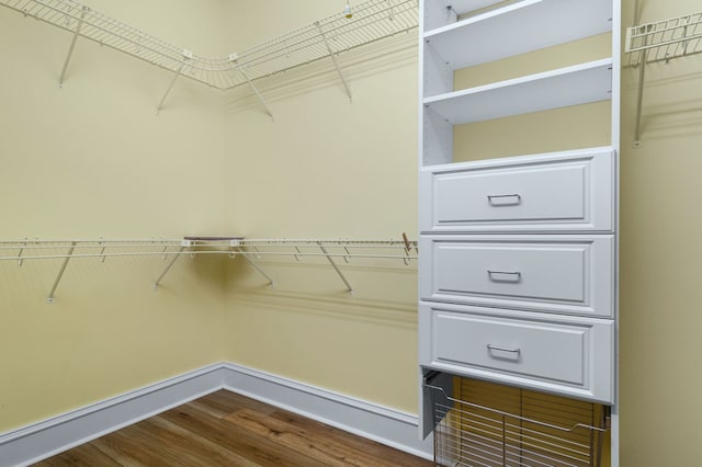 walk in closet featuring dark wood-type flooring