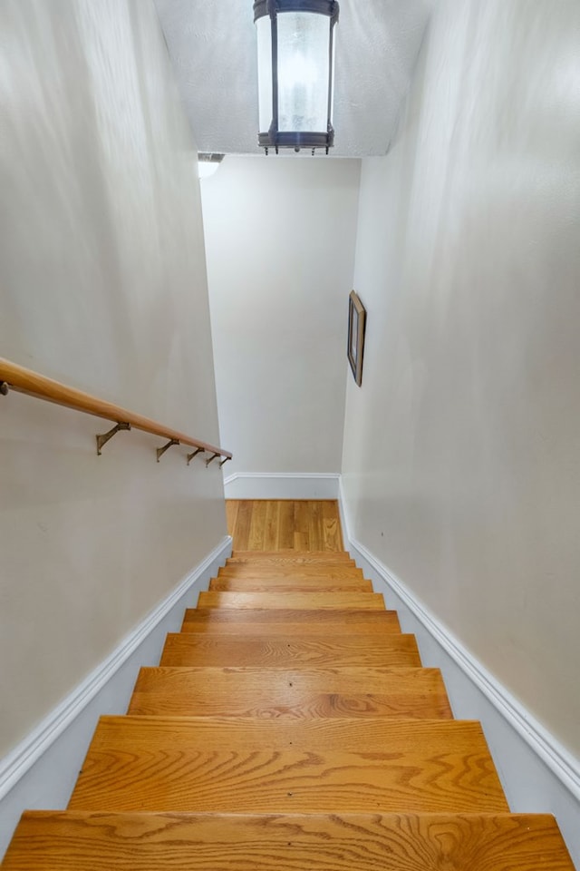 stairs with hardwood / wood-style floors