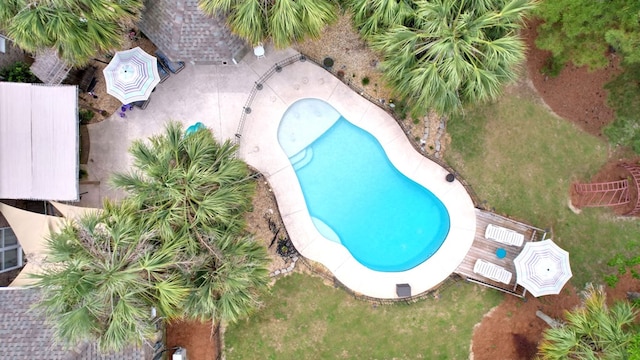 bird's eye view