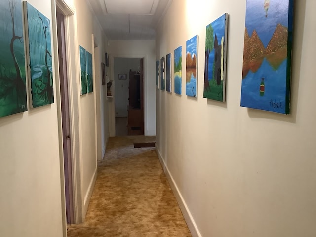 hallway with attic access, carpet floors, and baseboards