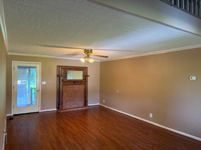 496 Old Albany Rd, Cordele, GA 31015 - photo 4