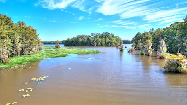 property view of water