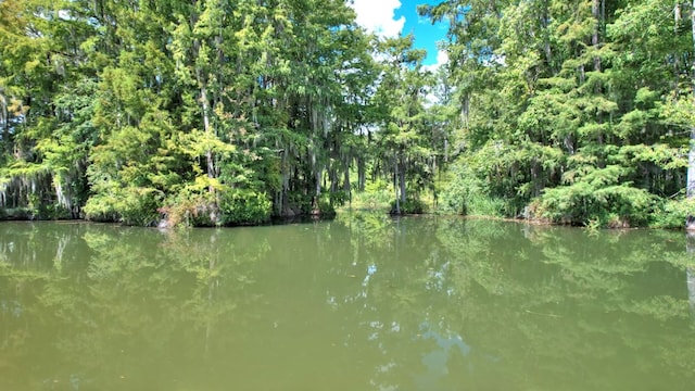 view of water feature