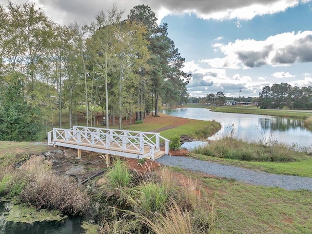 view of home's community with a water view