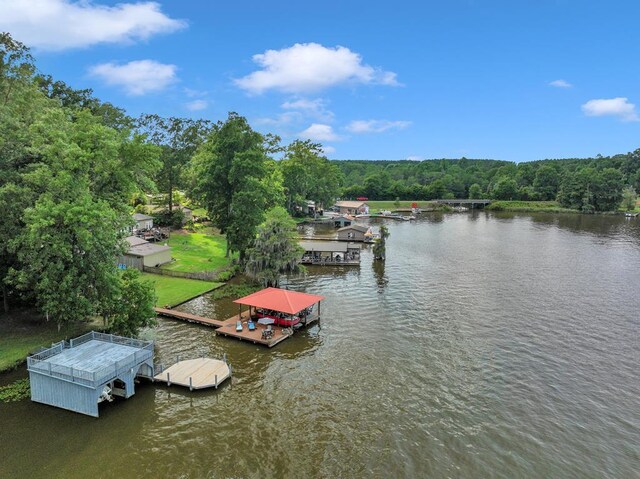 119A-B Tommy Warren Dr, Cobb, GA 31735 - dock featuring a water view and a view of trees