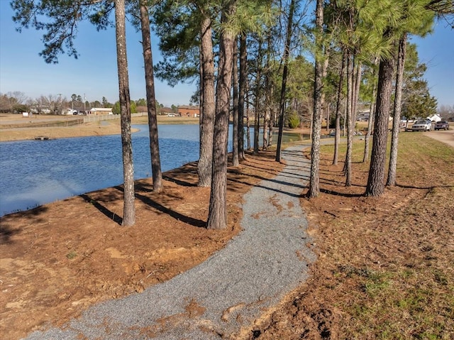 view of water feature