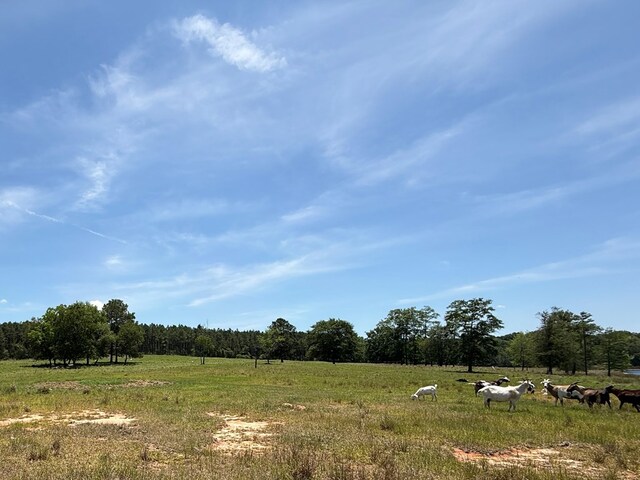 135-A Drexler Ln, Fitzgerald, GA 31750 - photo 12