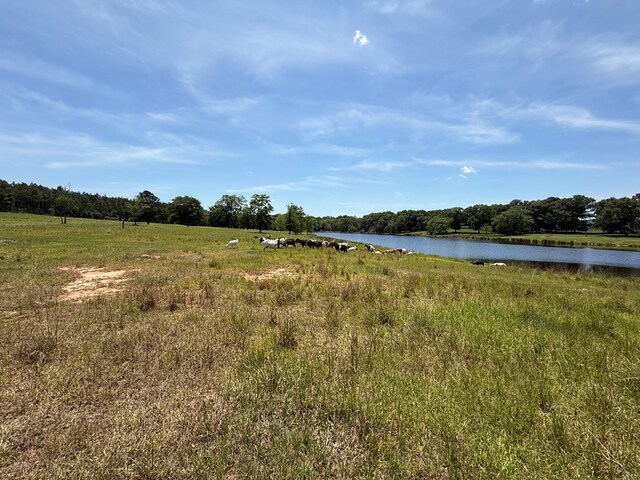 135-A Drexler Ln, Fitzgerald, GA 31750 - photo 11