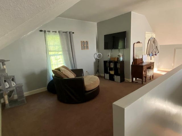 carpeted living room with a textured ceiling and lofted ceiling