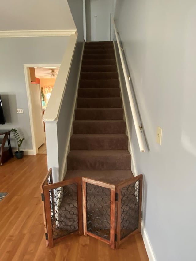 staircase with crown molding and wood-type flooring