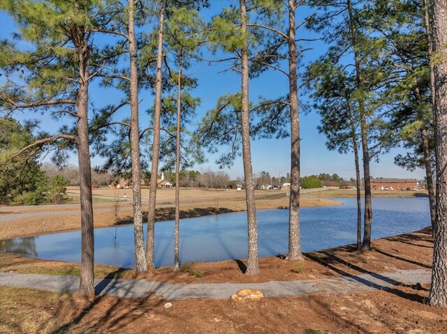 101 Southland Ridge Dr, Americus, GA 31709 - photo 7
