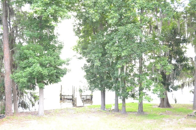 375 Flintside Dr, Cobb, GA 31735 - view of surrounding community