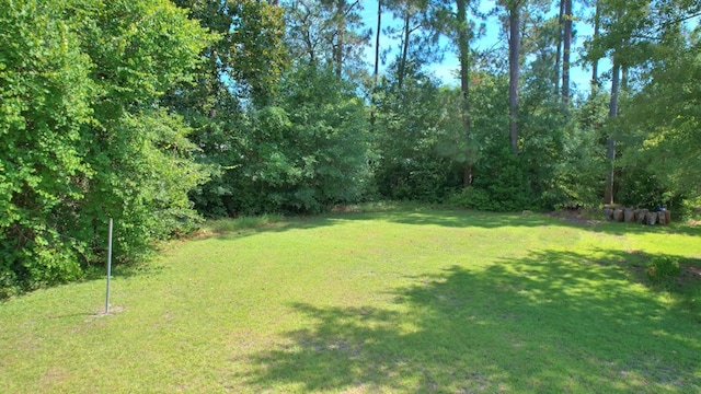 367 E Monroe Ave, Ashburn, GA 31714 - photo 34