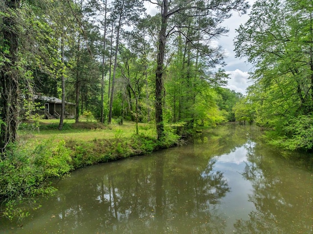 property view of water featuring a view of trees