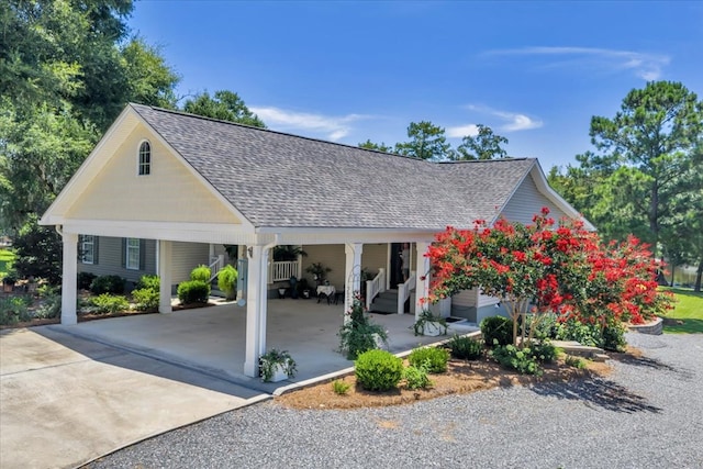 115 N Cedar Creek Rd, Cordele, GA 31015 - surrounding community with concrete driveway and a carport