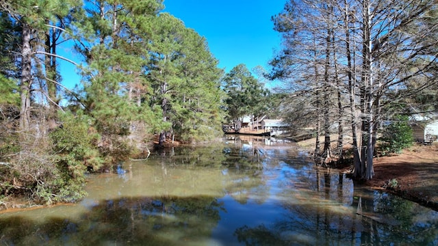 view of water feature