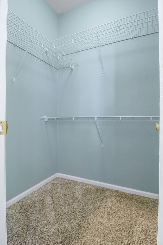 spacious closet with carpet