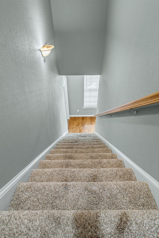 staircase with hardwood / wood-style floors