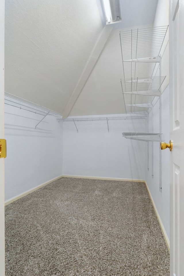 walk in closet featuring carpet flooring